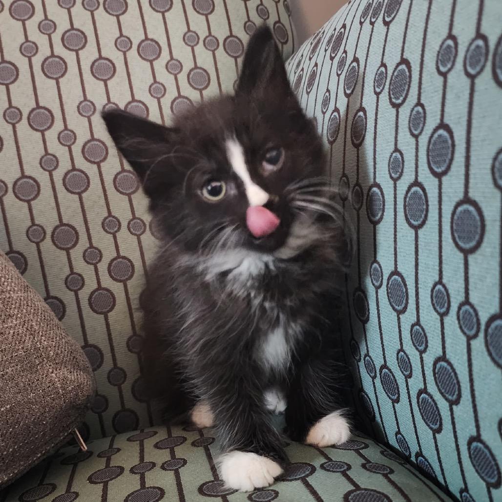 Magic Mountain photo 1