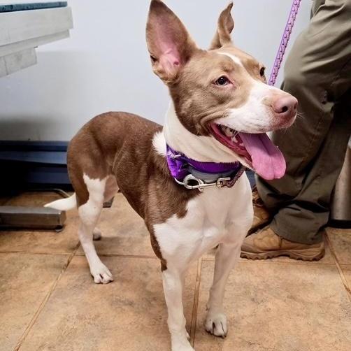 Linda In Prison Program