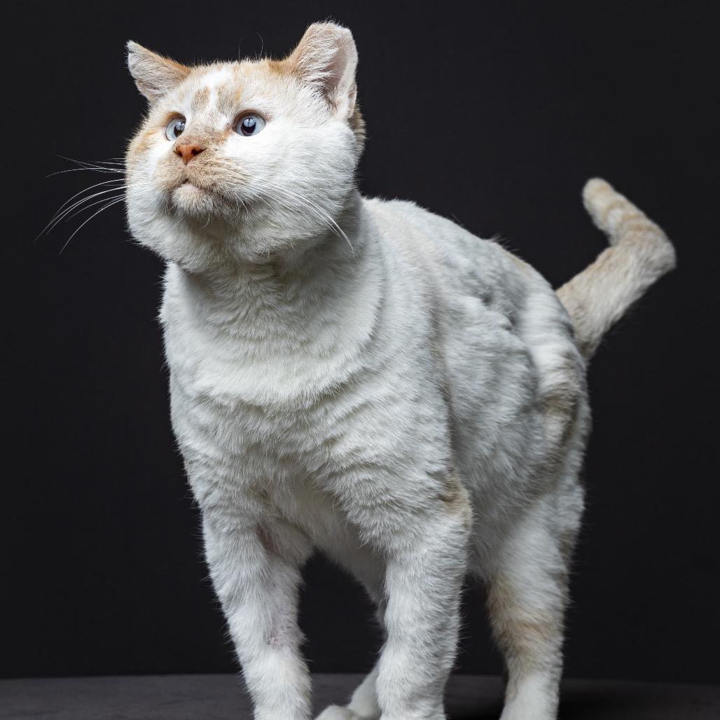 Bob Campbell photo 1