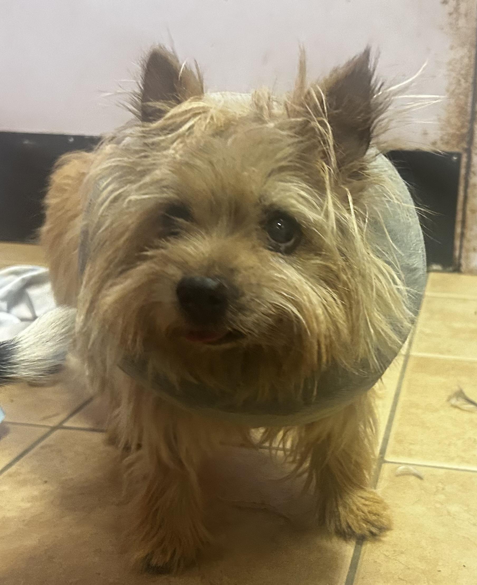 Butternut Squash photo 1