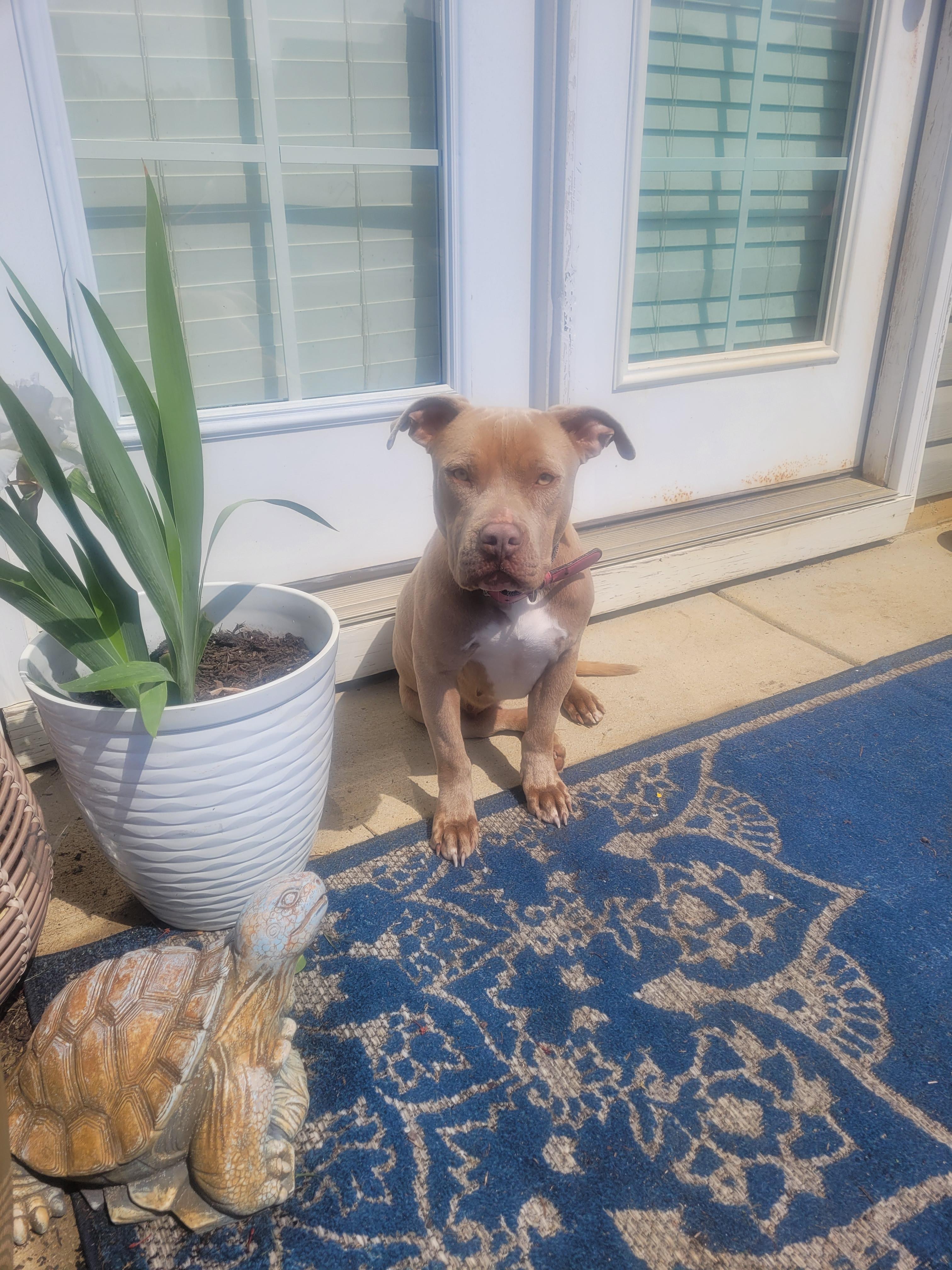 Courtesy Listing Honey