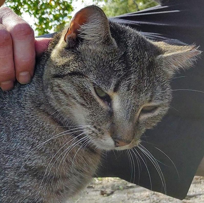 ~ Courtesy ~ Tabitha