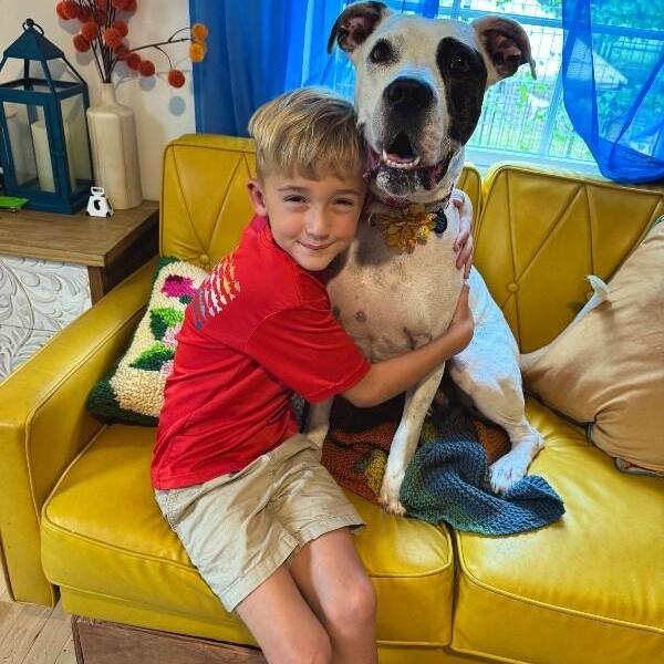 Lizzie Angel On Earth!