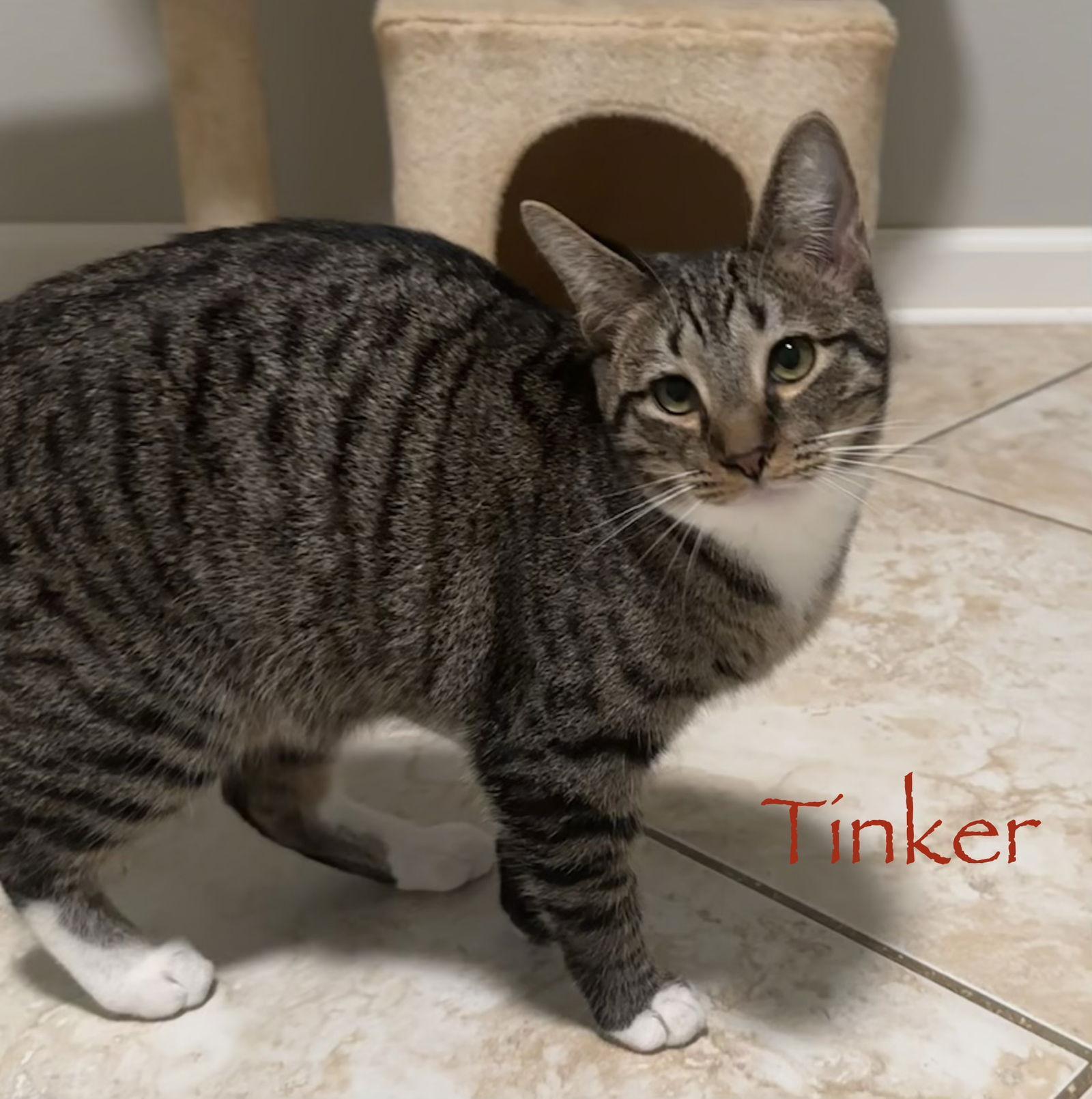 Tinker