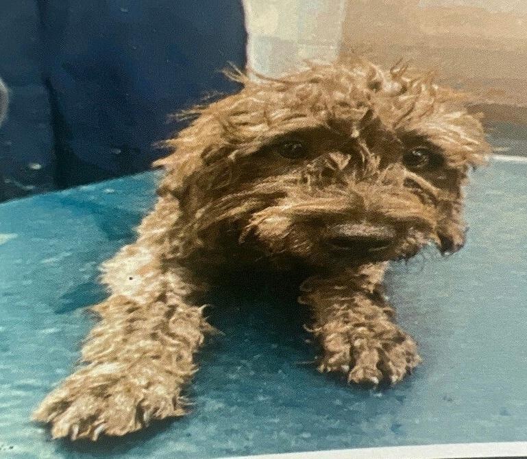 Frank Gallagher photo 1