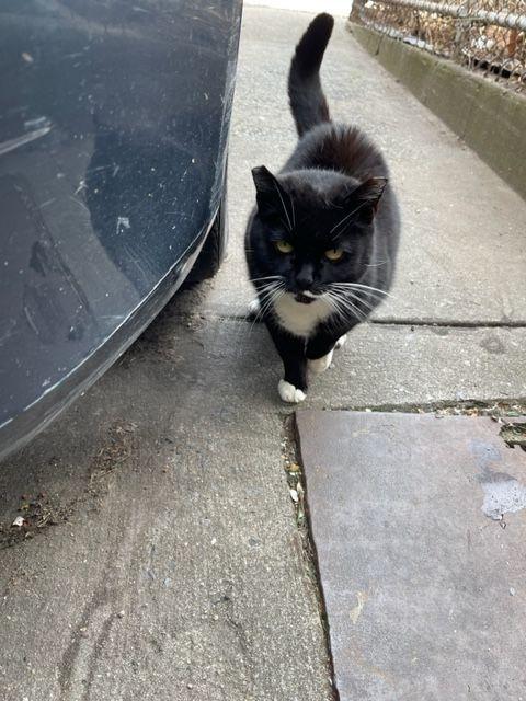 Jenny From The Block