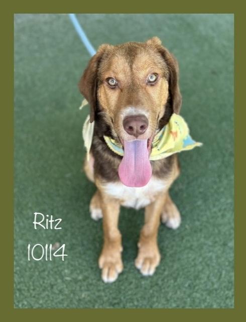 Ritz