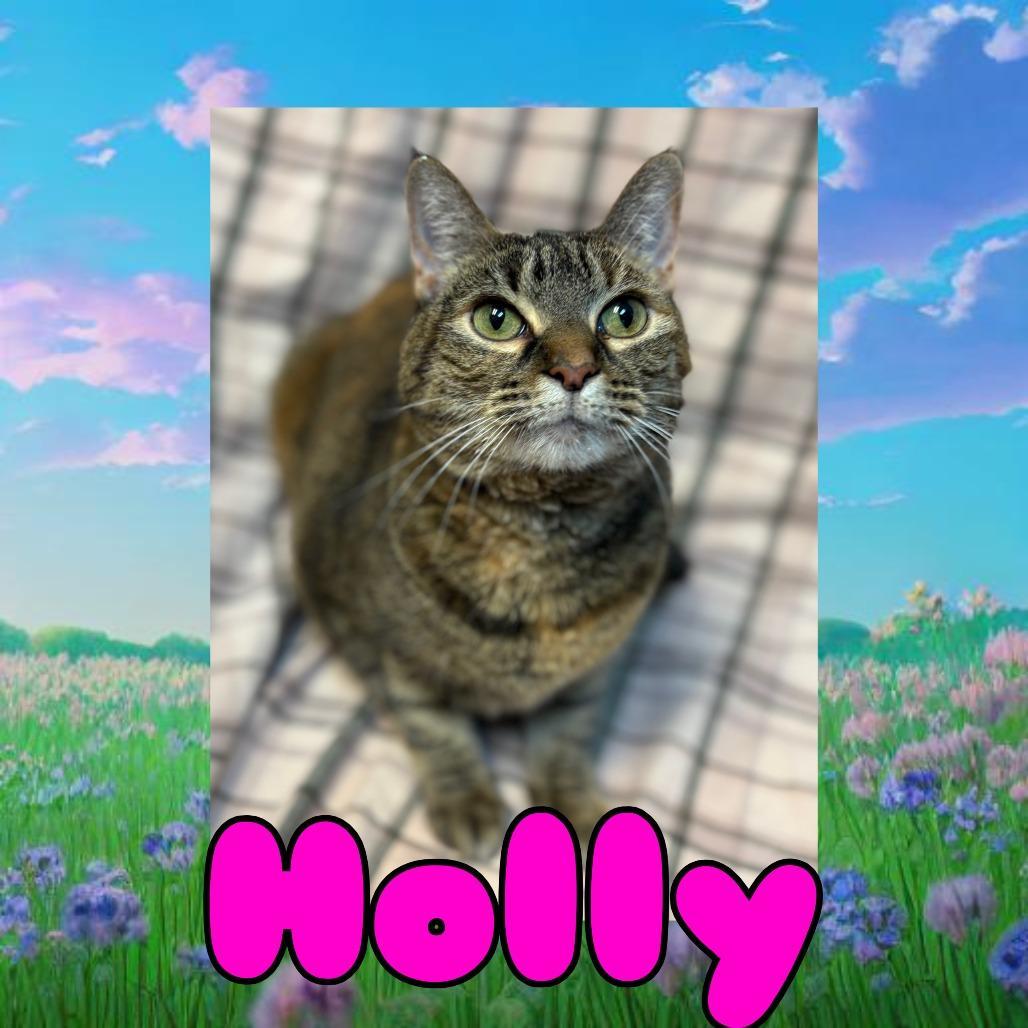 Holly