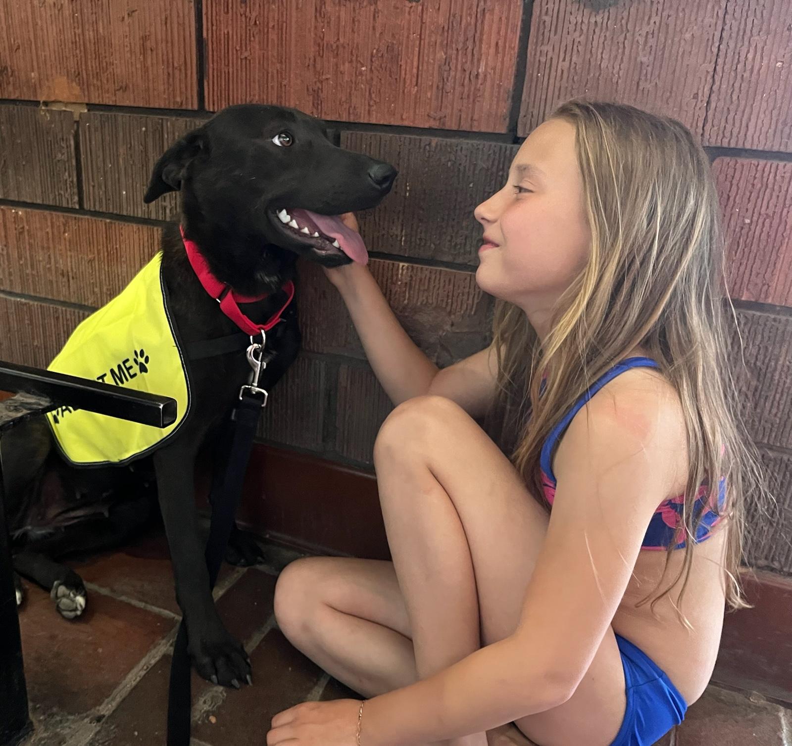 Black Lab Beauty And