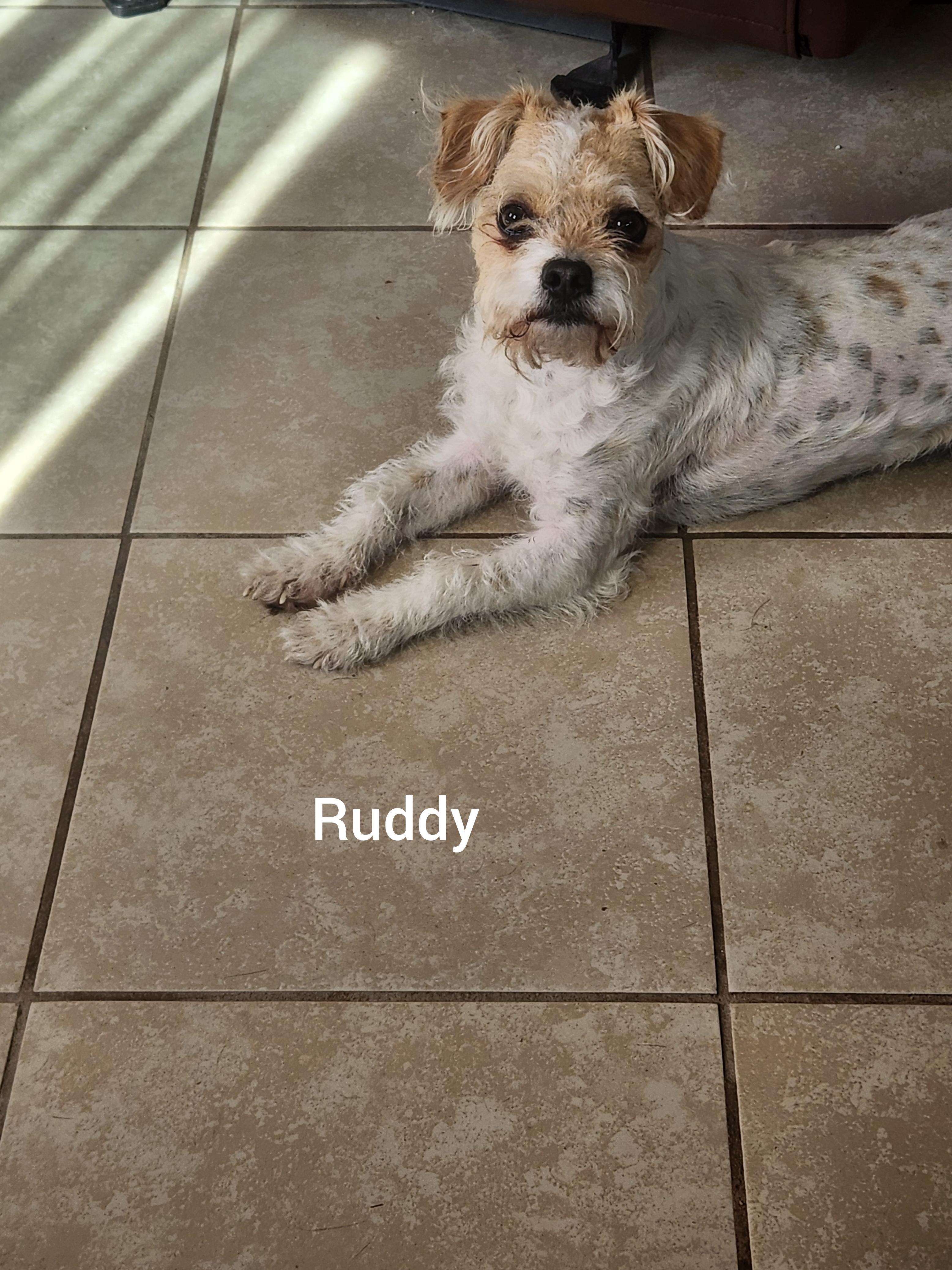 Rudy