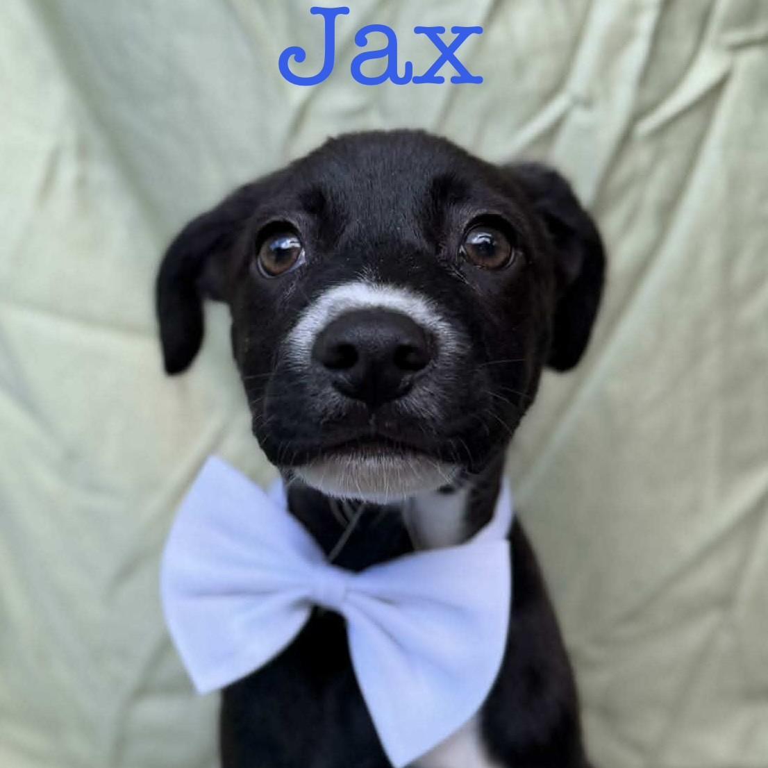 Jax