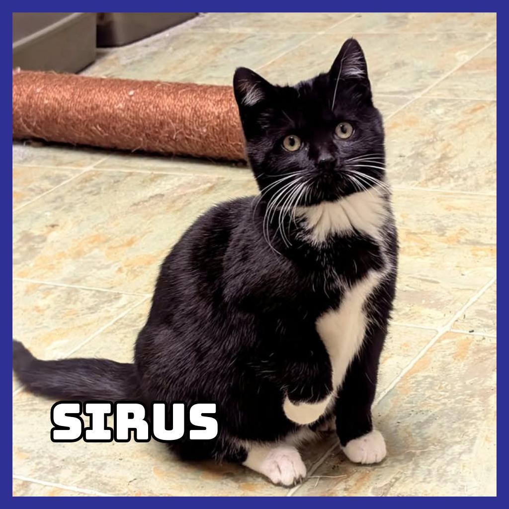 Sirius