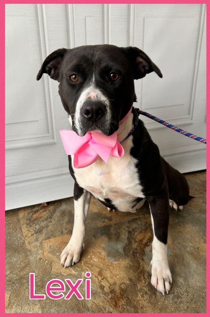 Lexi