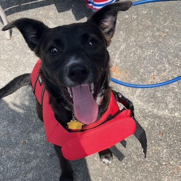 Zz Baby Ari~ Courtesy