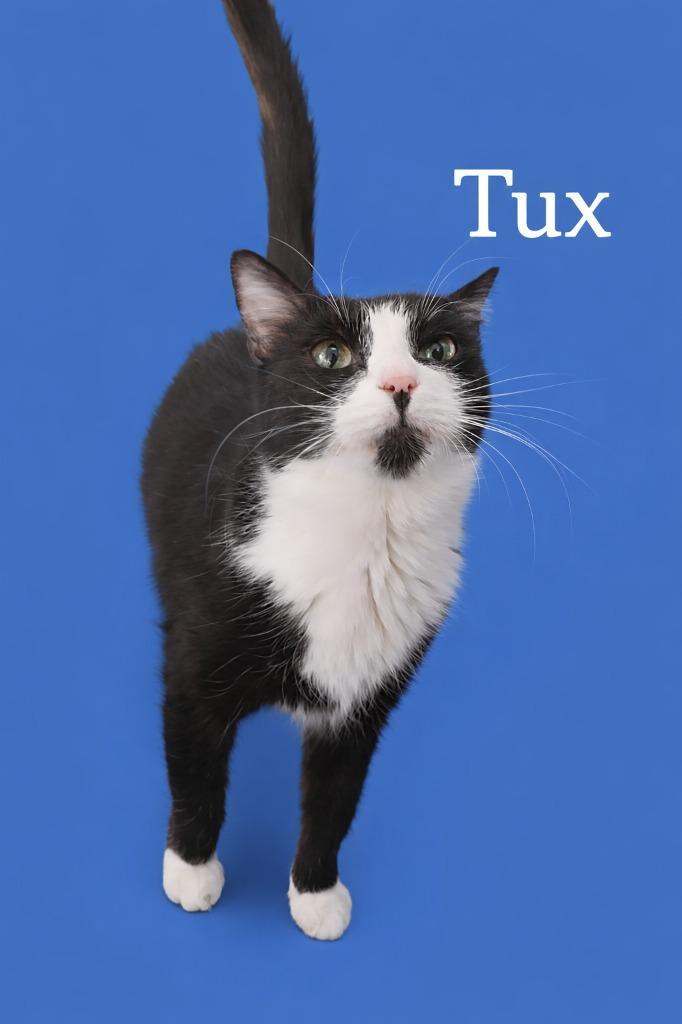 Tux
