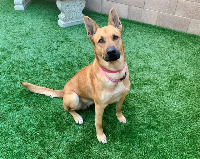 Urgent! Save Me Please!