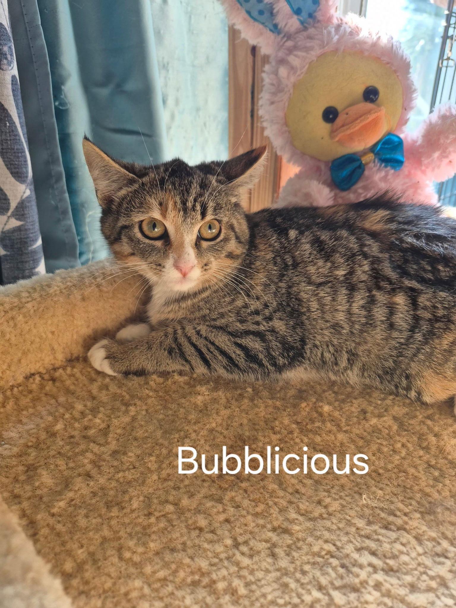 Bubbalicious