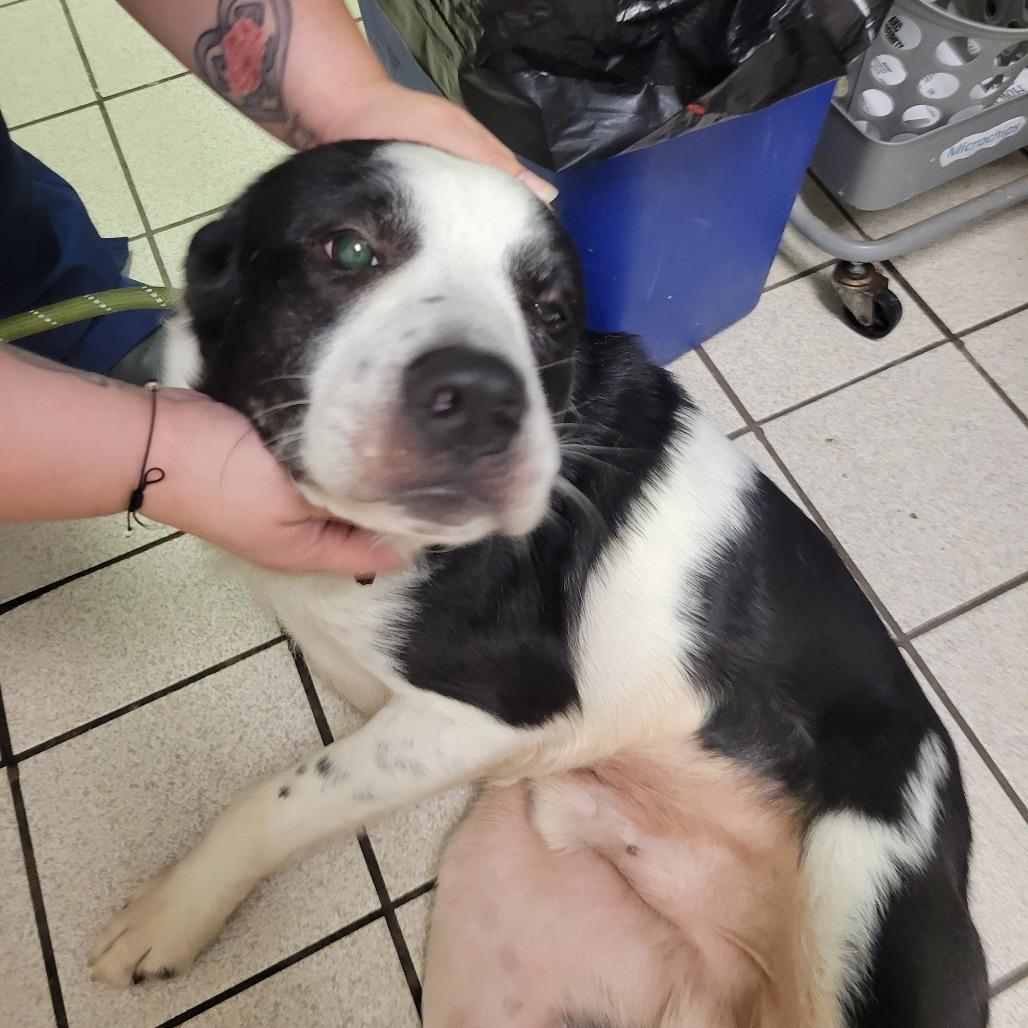 Little Baby Aka Zeke