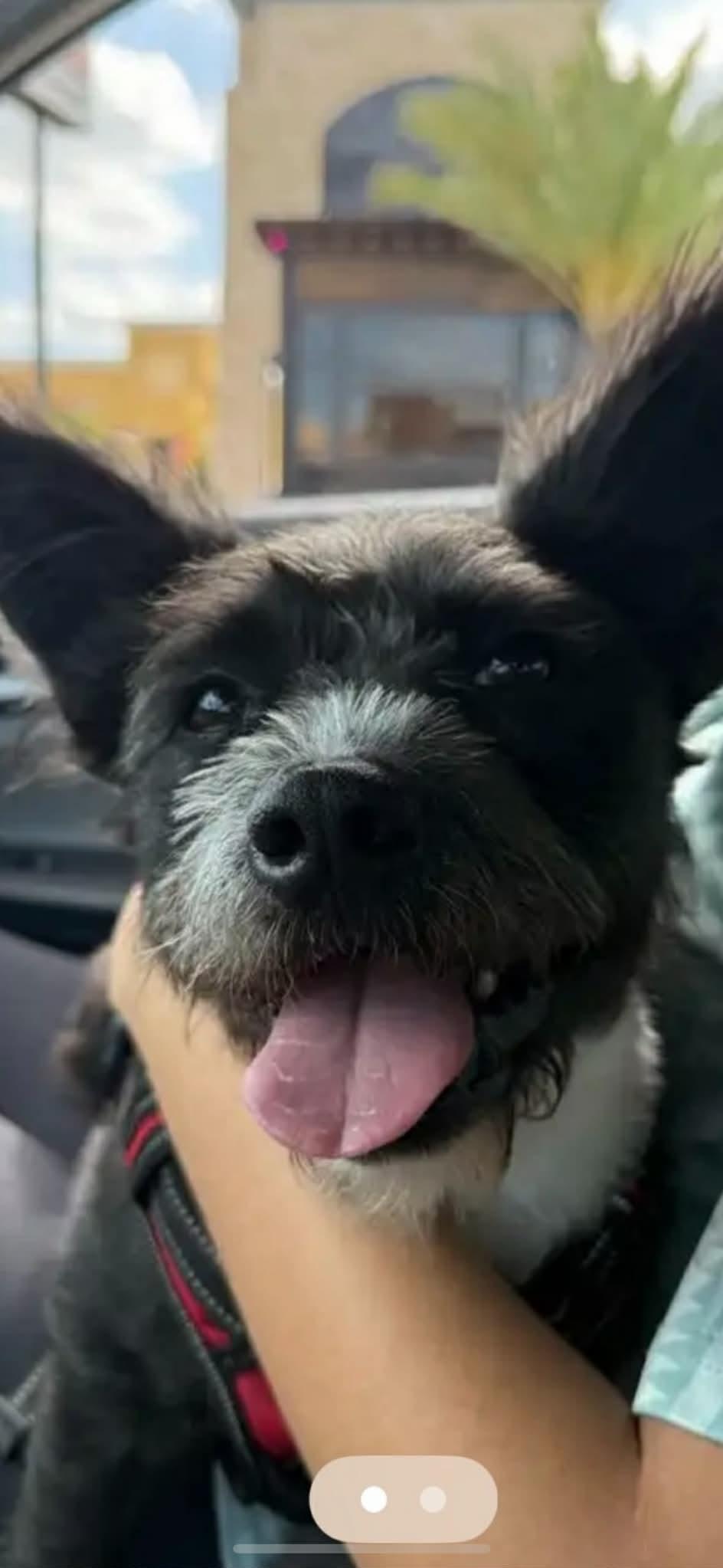 Jack