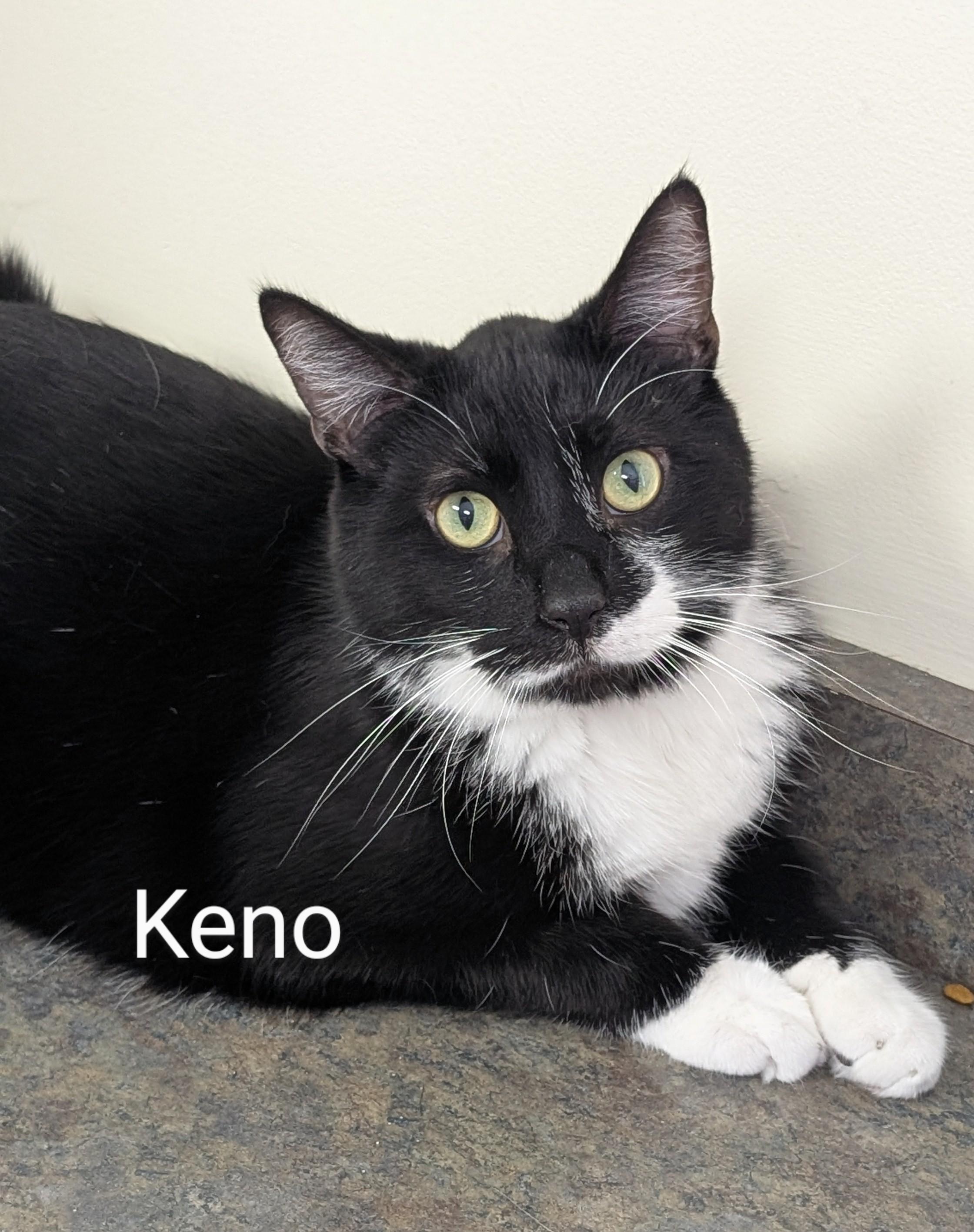 Keno