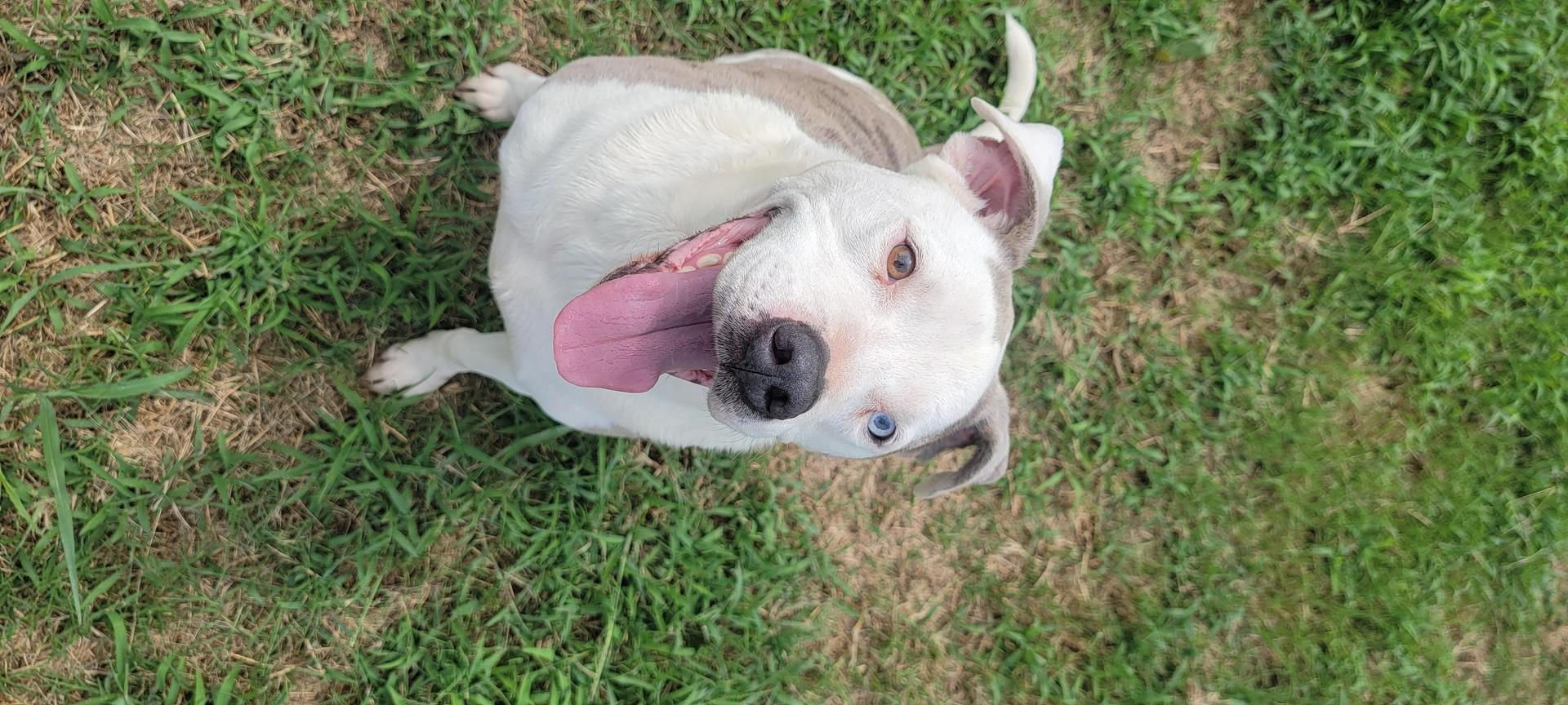 Sam