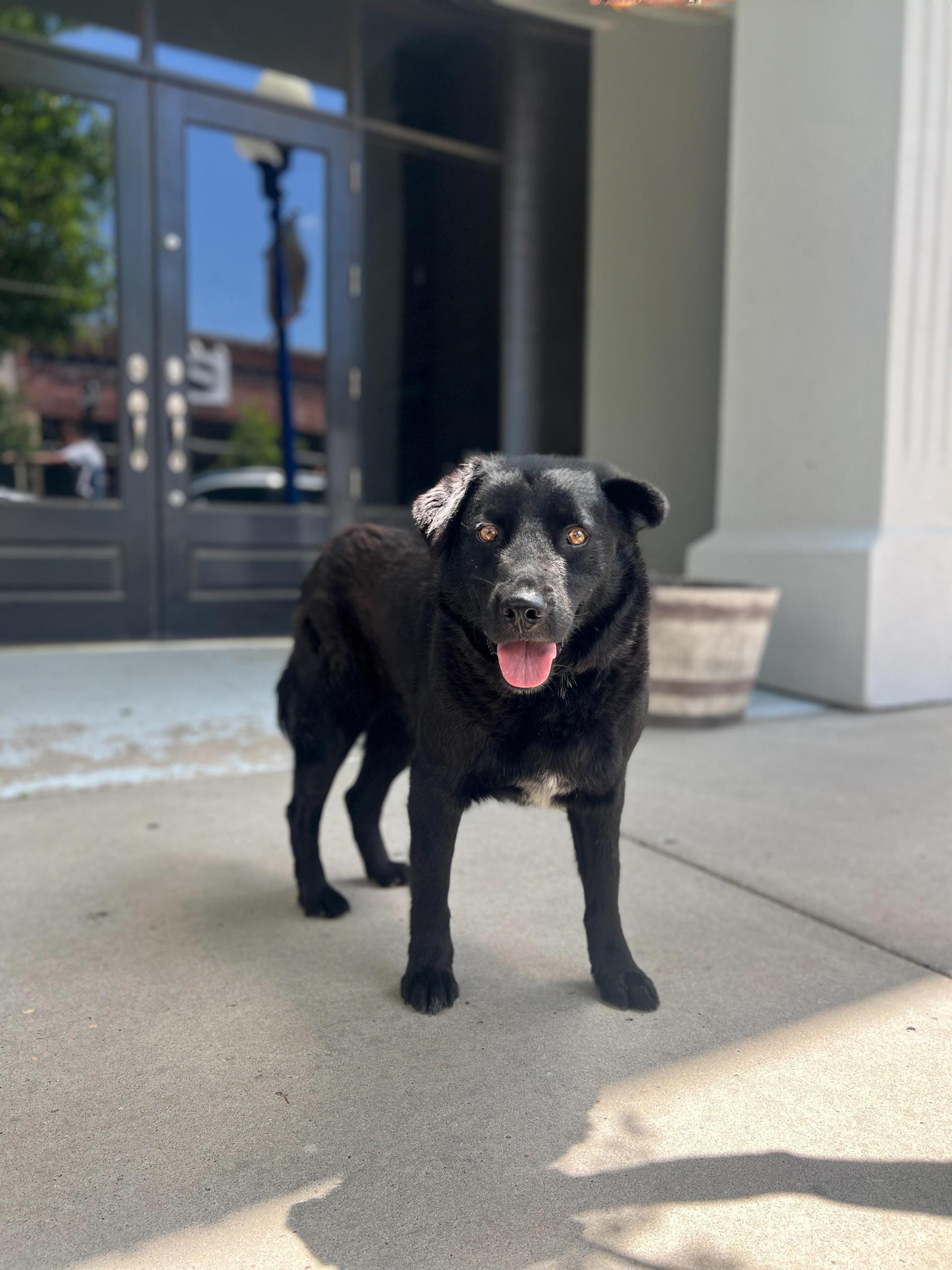 Max