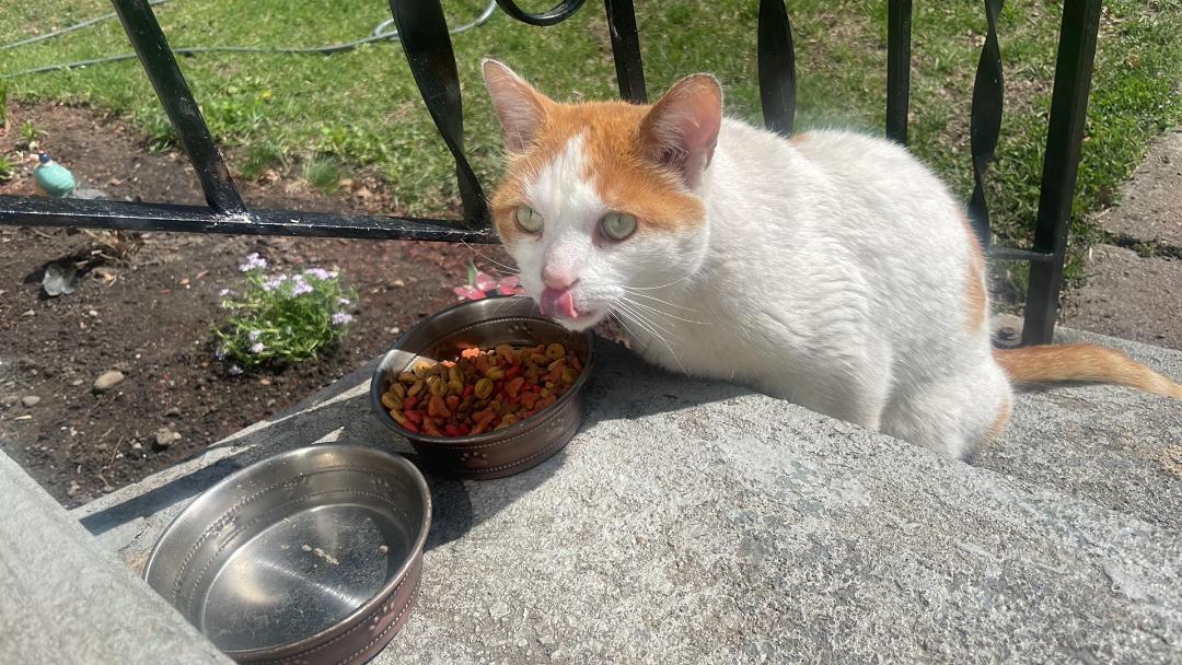 Titus Courtesy Listing photo 1