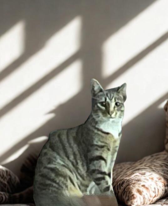 Tabs Where Curiosity Meets