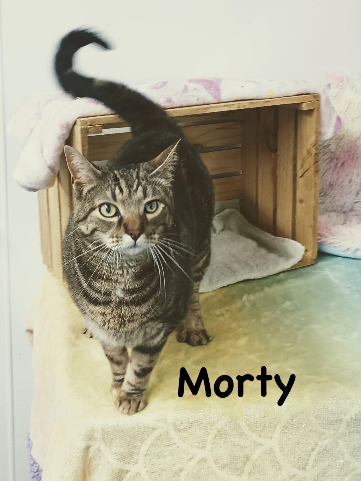 Morty