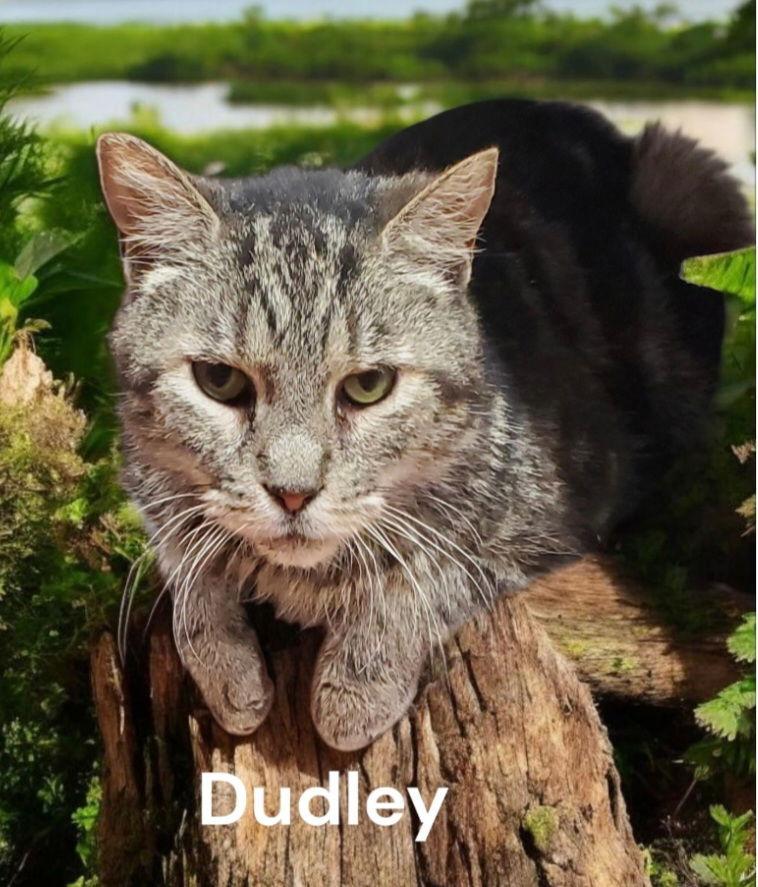 Dudley