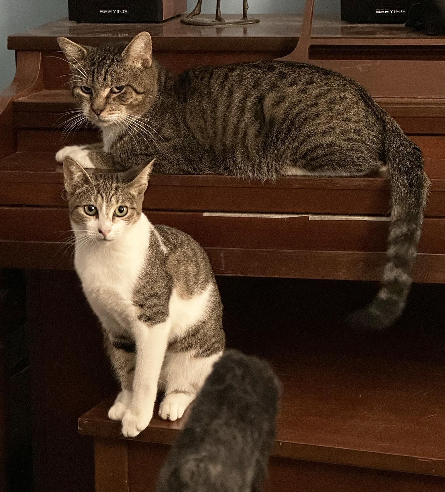 Bartholomew & Clementine Farson