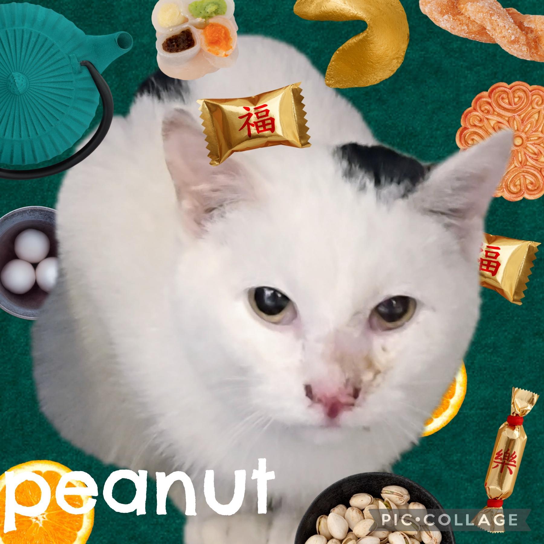 Peanut