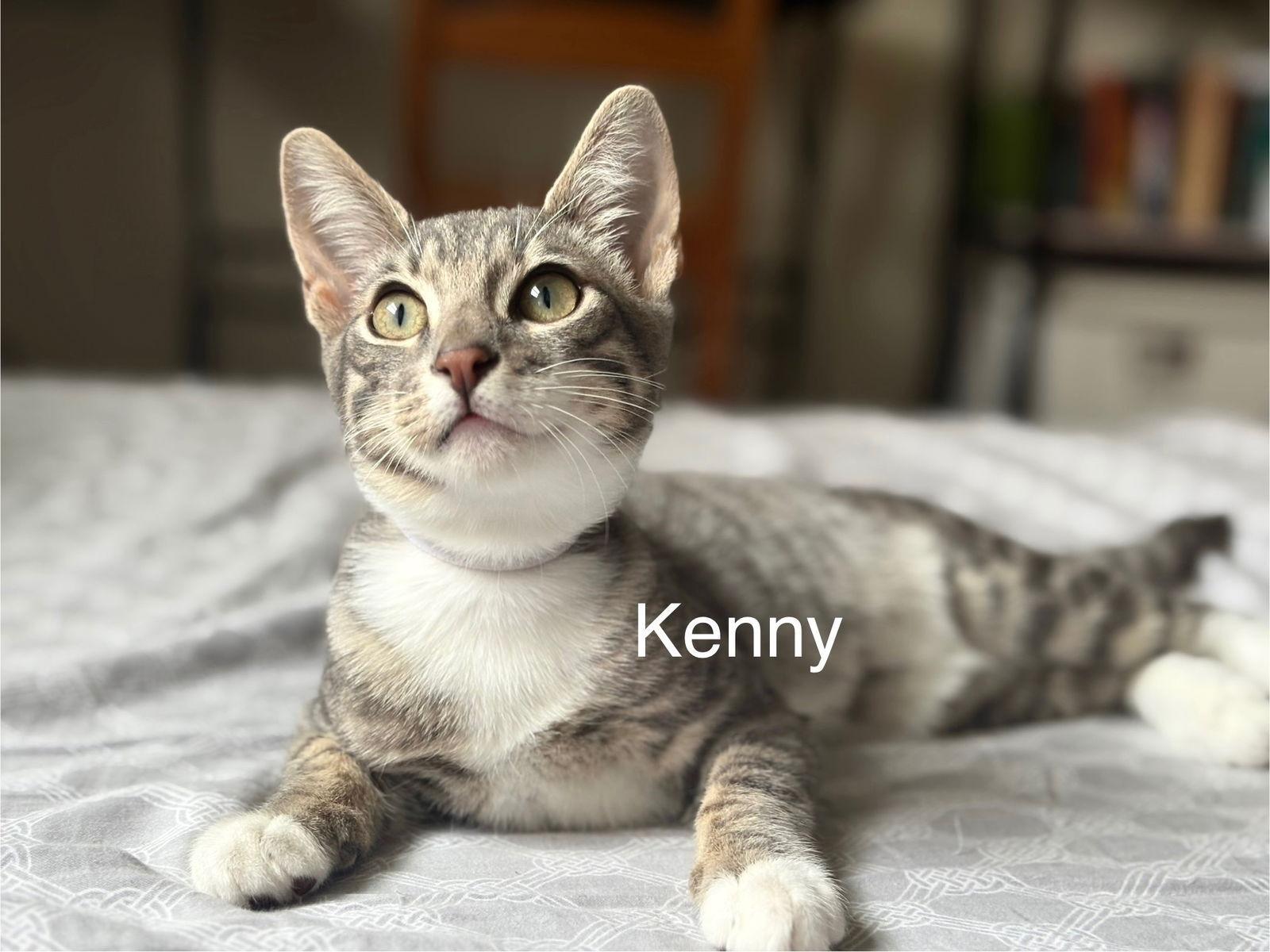 Kenny