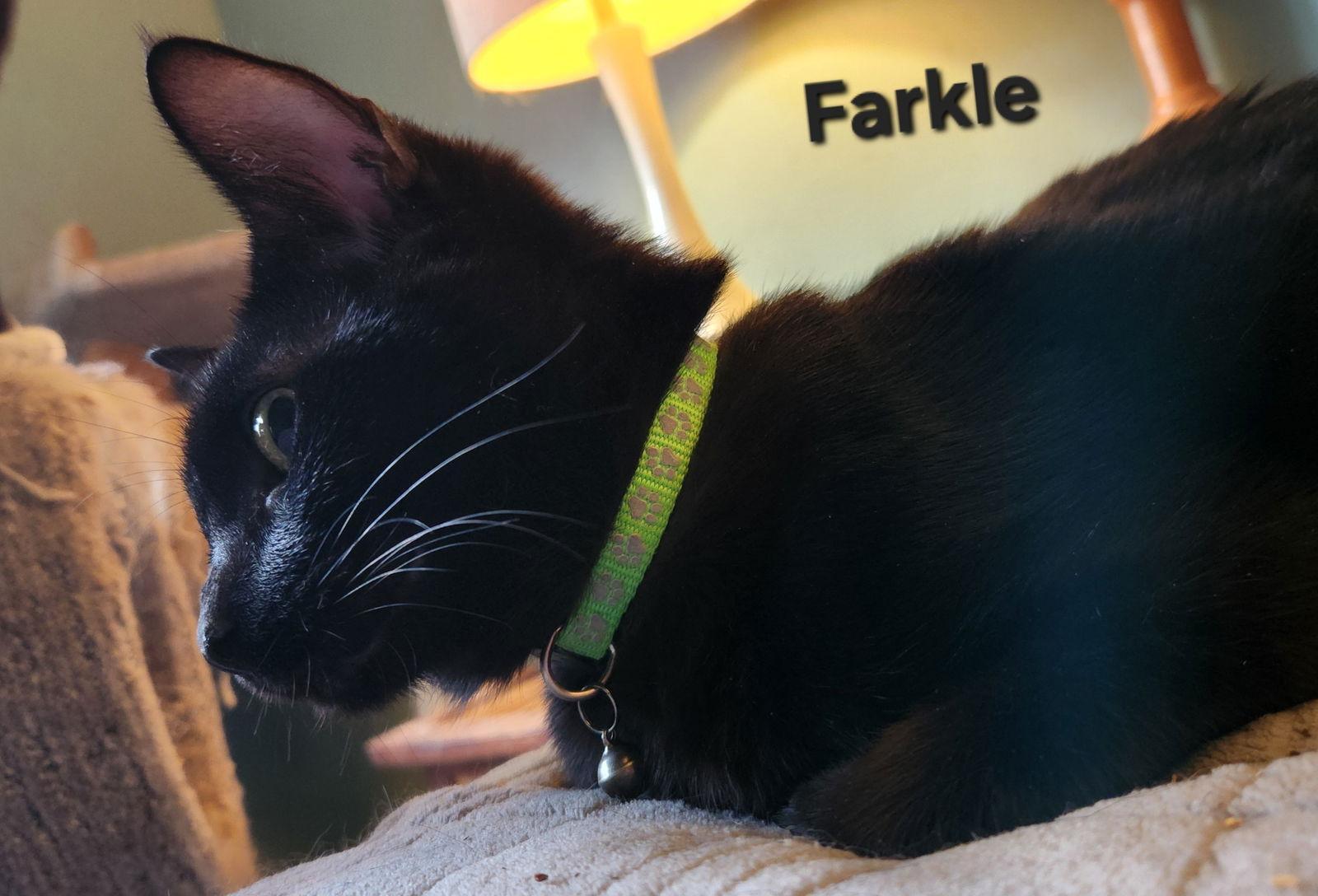 Farkle
