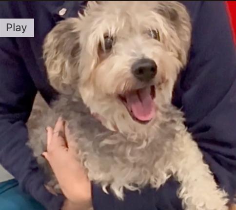 Urgent! Save Me Please! photo 1