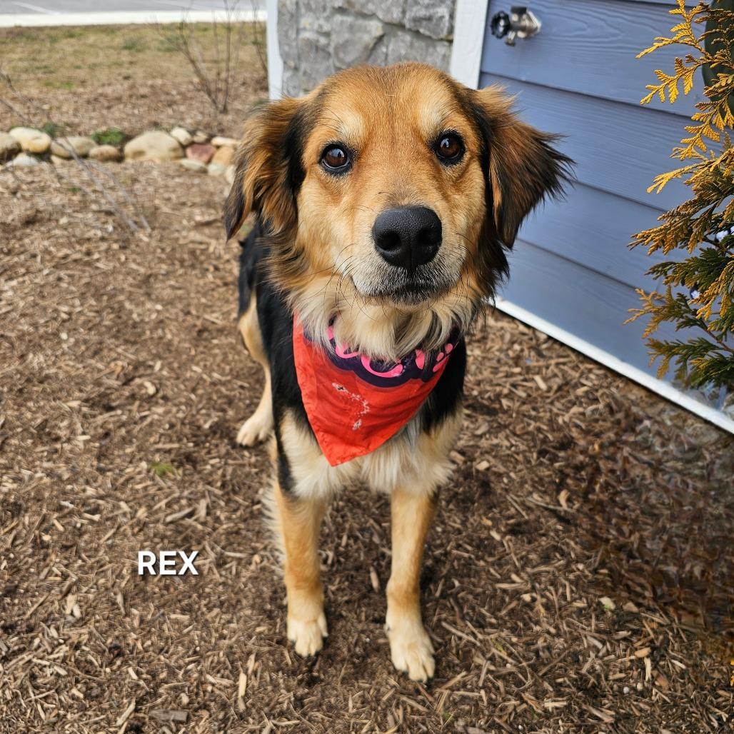 Rex