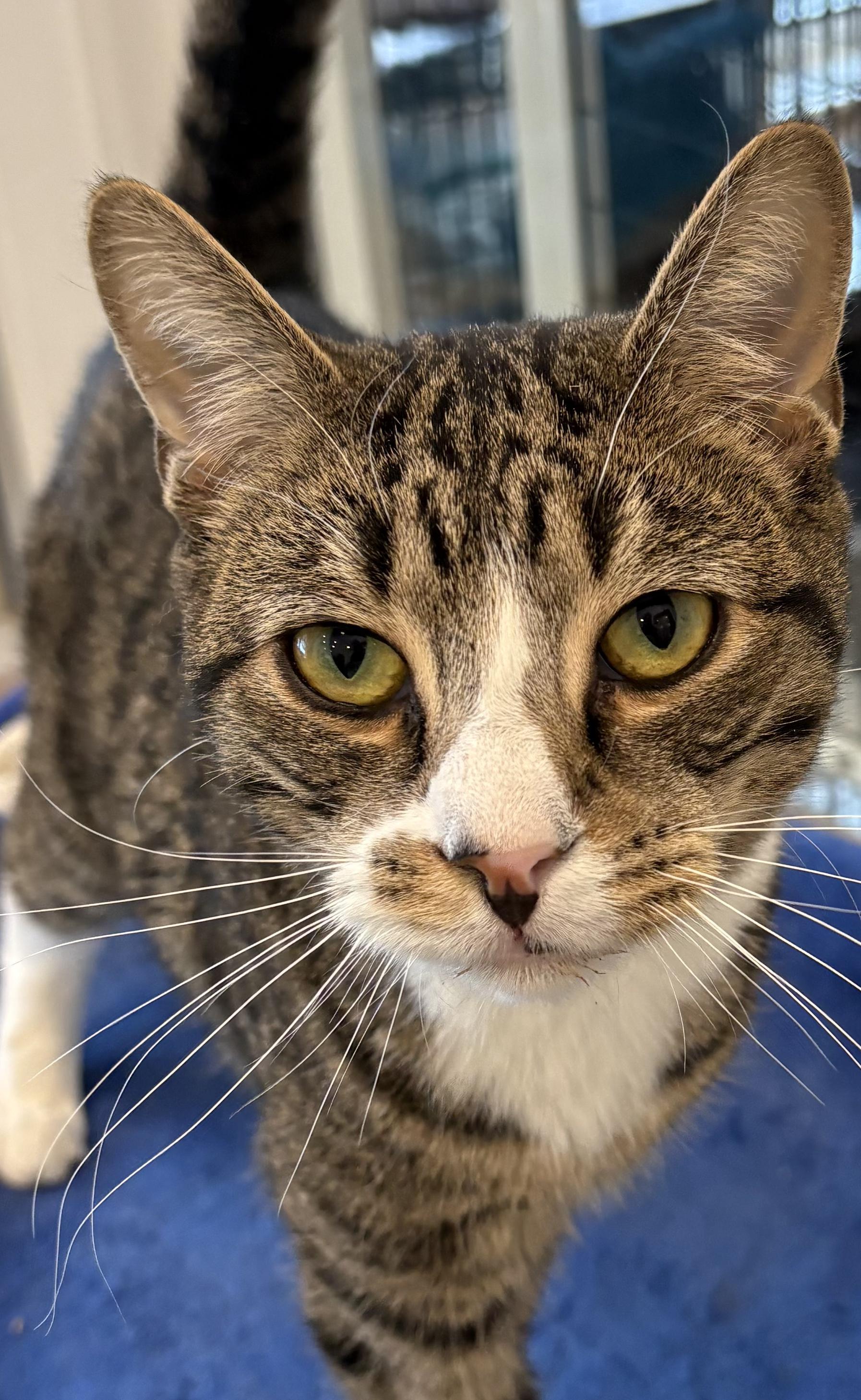 Mars Bonded With Magnolia