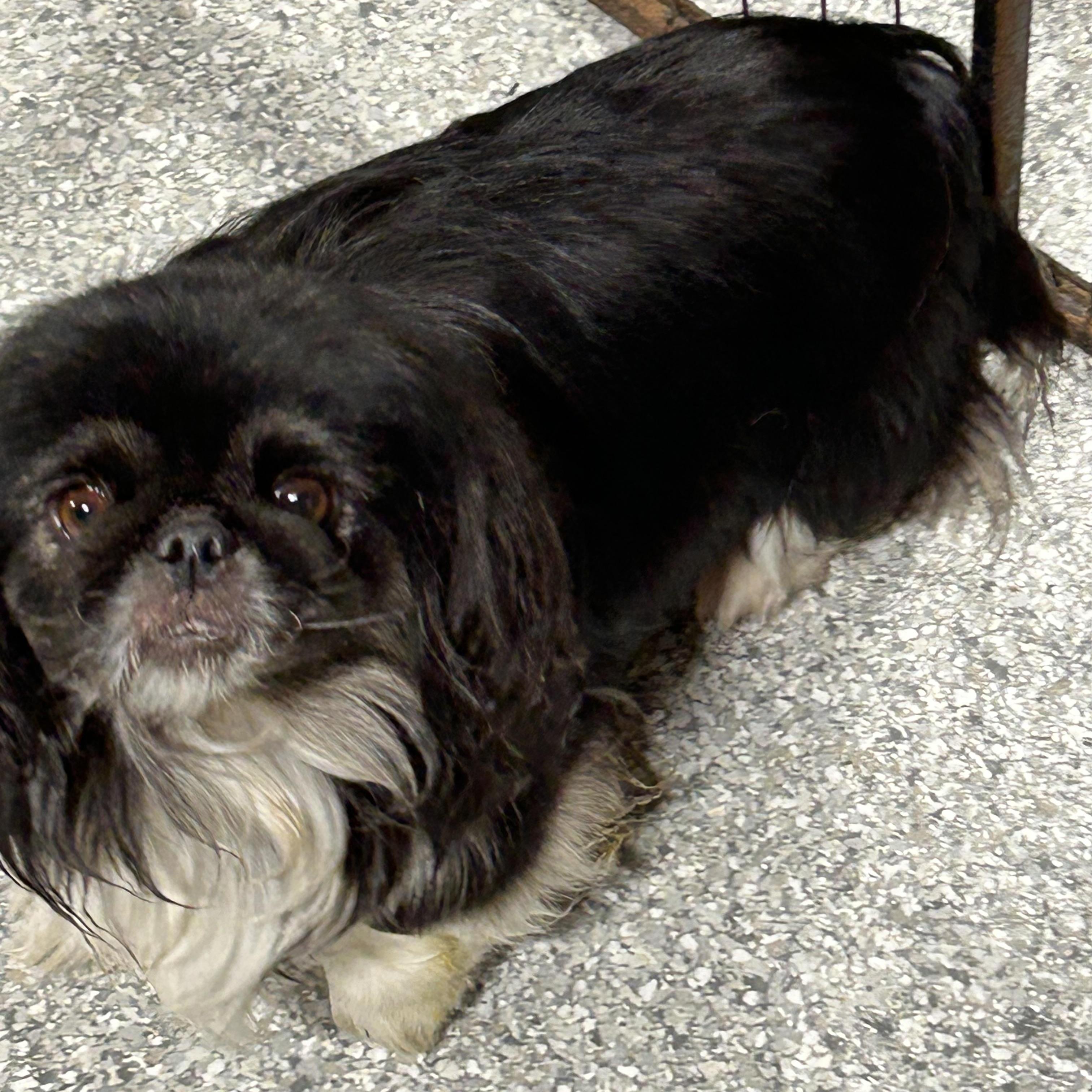 Kianna. Super Friendly