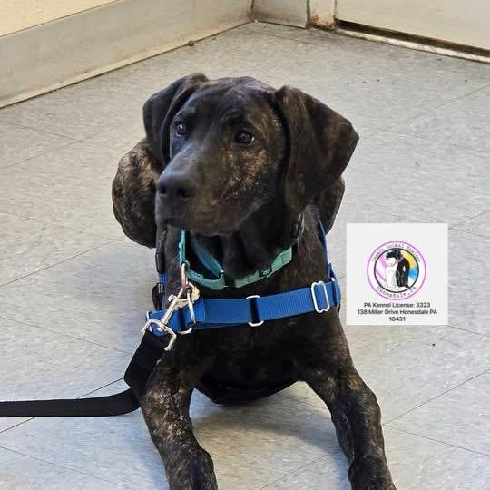 Mack In Prison Program