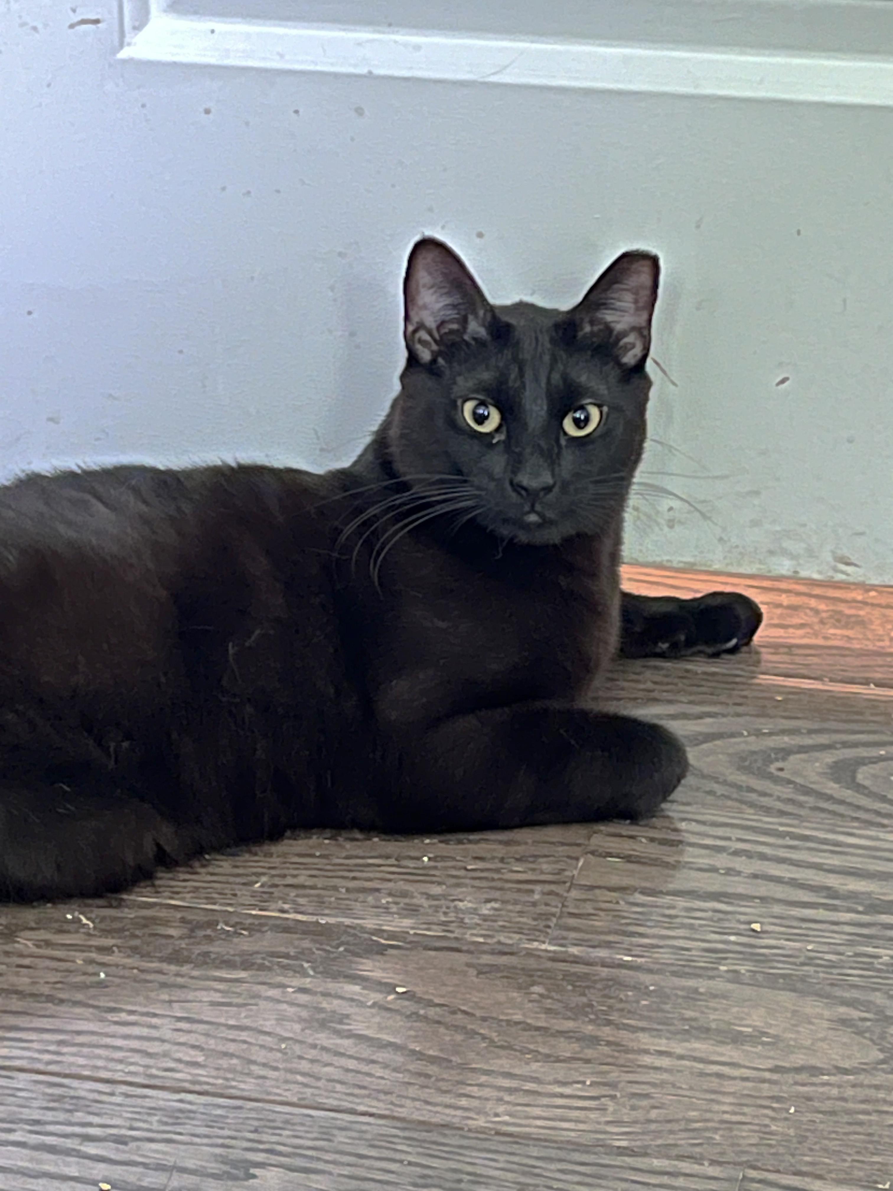 Mica & Milo Delancey