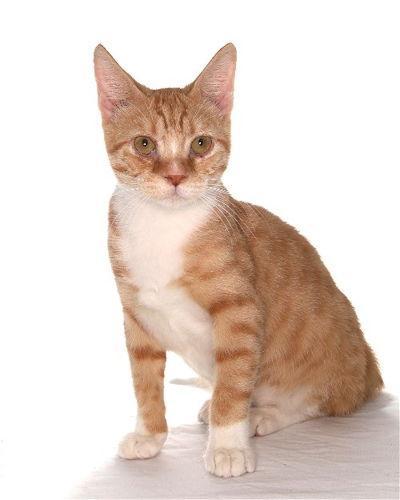 Burnie Center photo 1