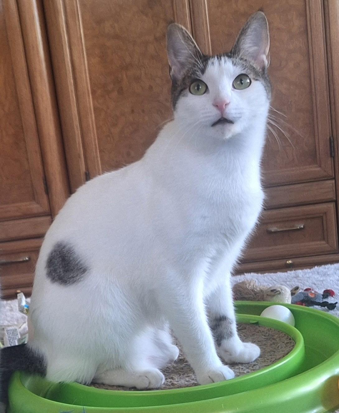 Sugar And Sherry And