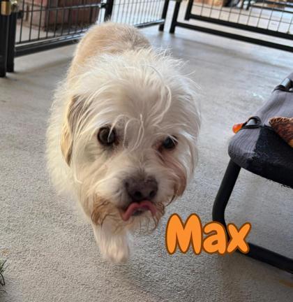 Max