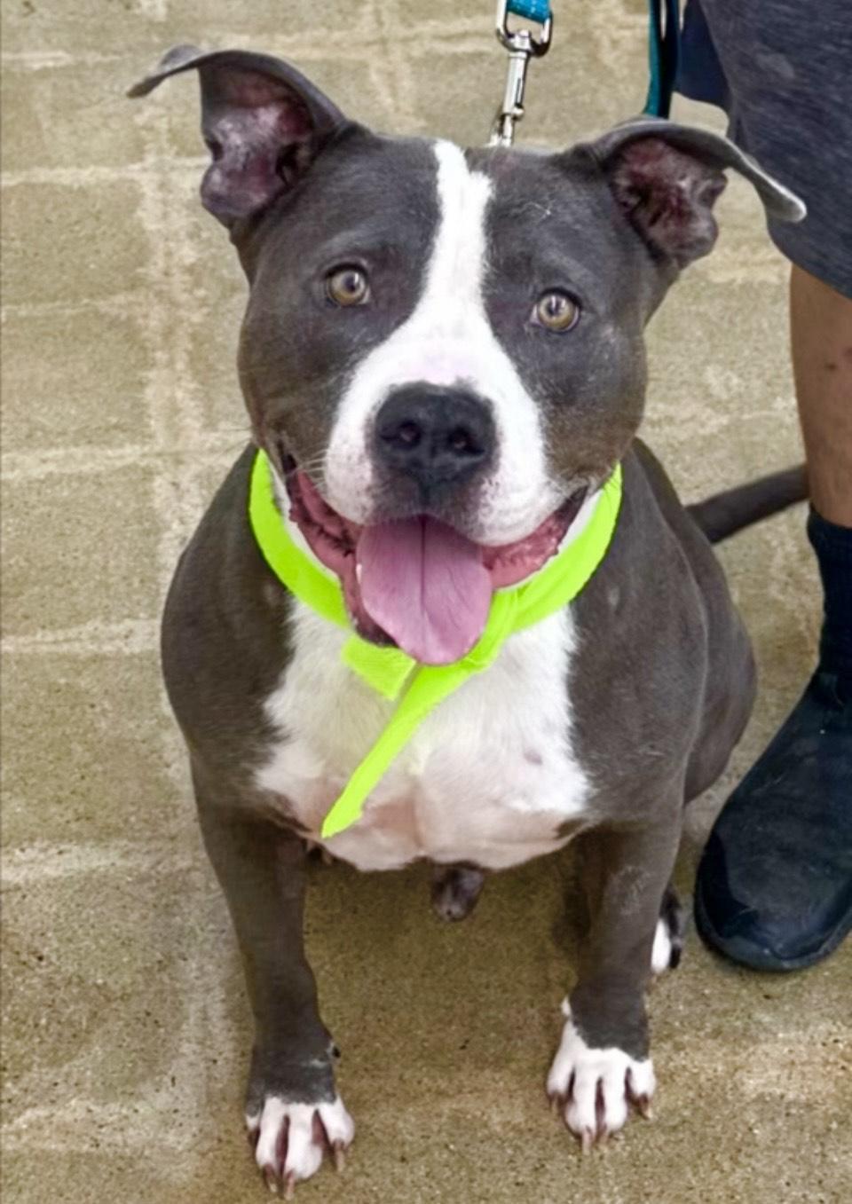 Brucewill Make You Smile