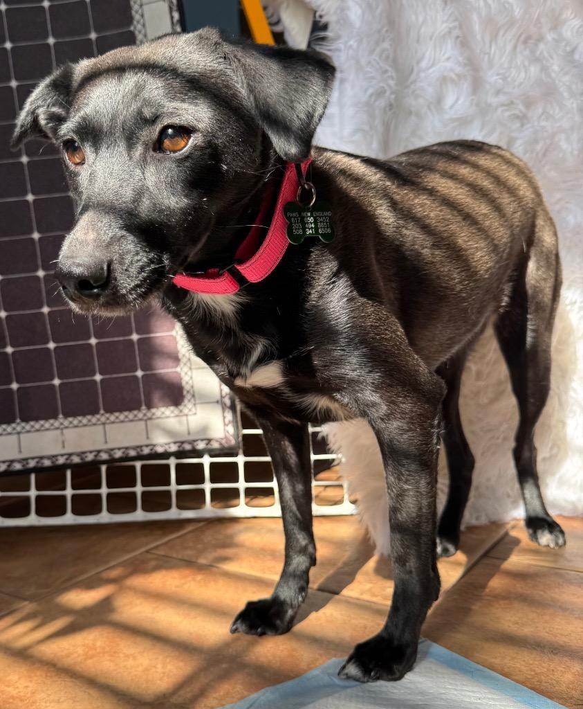 Reina Paragould Local