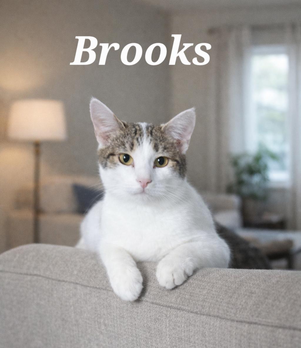 Brooks