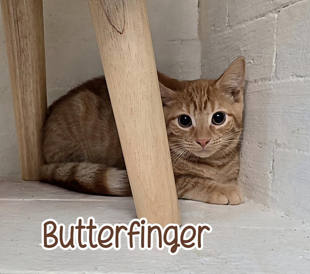 Butterfinger