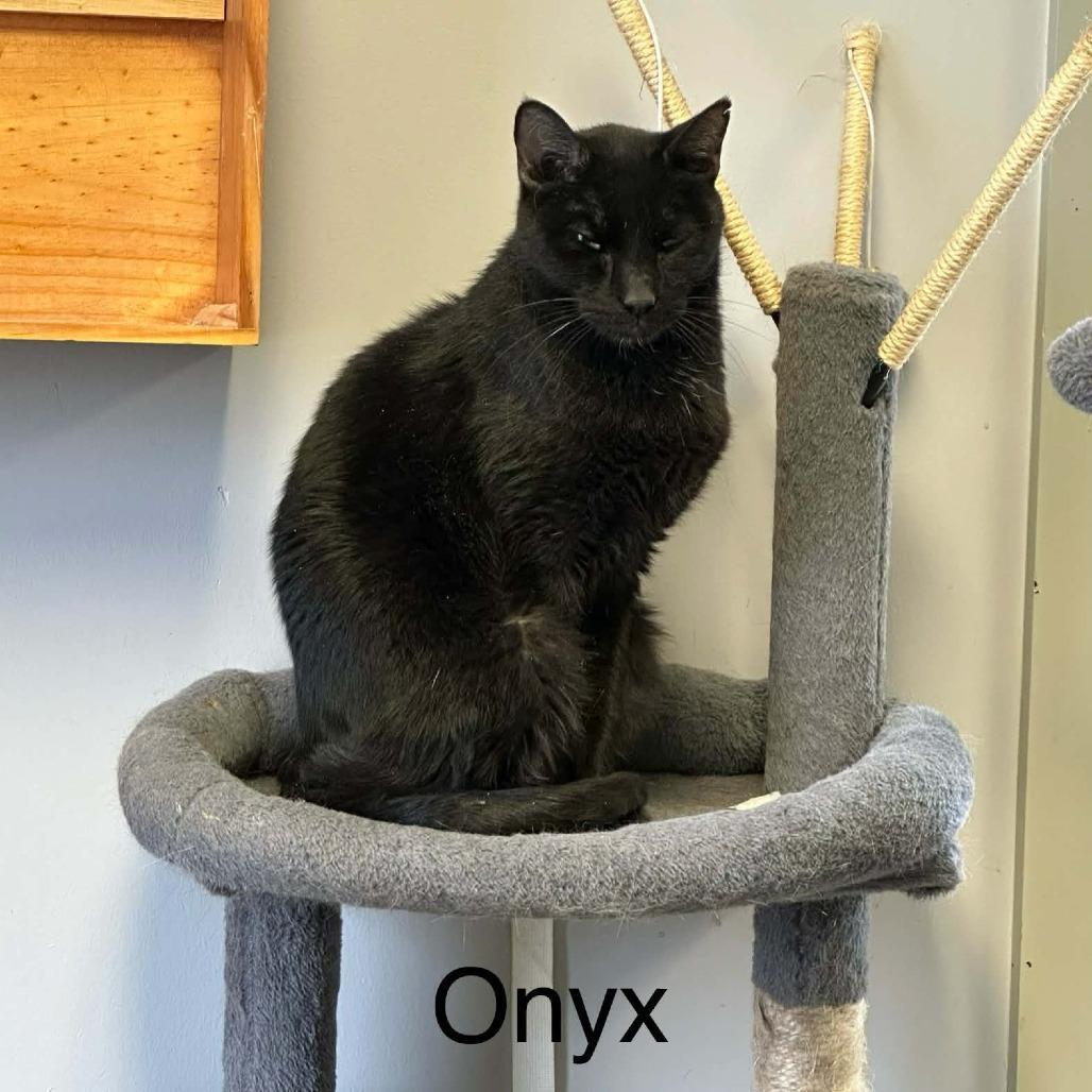 Onyx