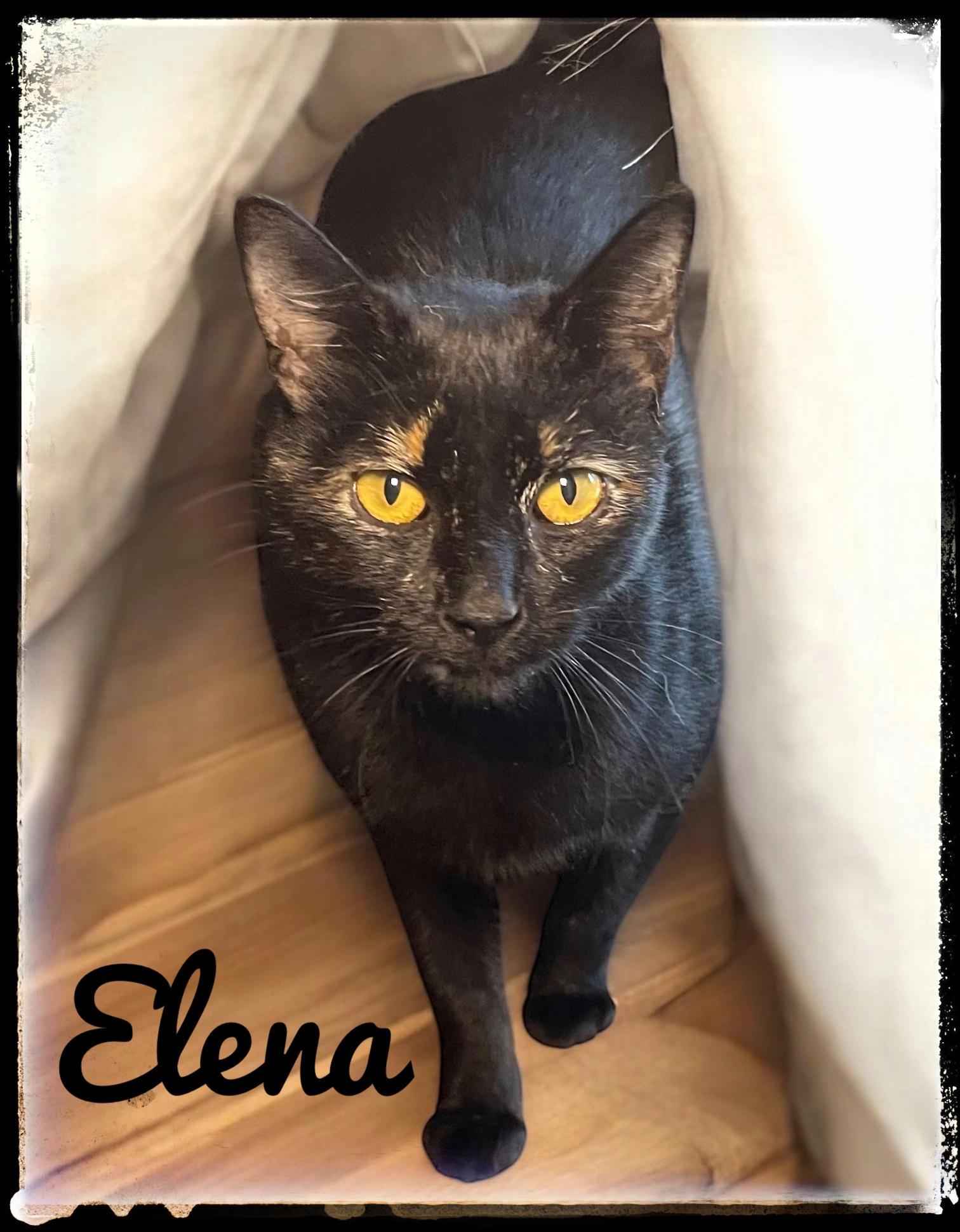 Elena