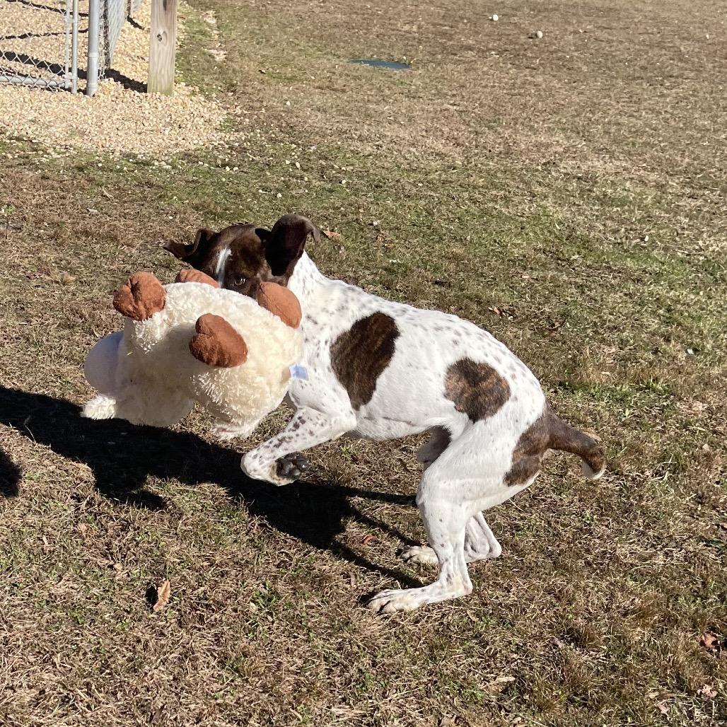 Professor Cosmic Brownie